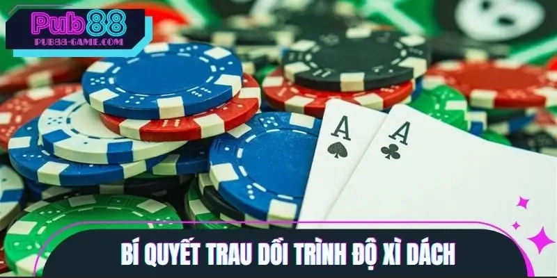 Bí quyết trau dồi trình độ xì dách dành cho tân thủ