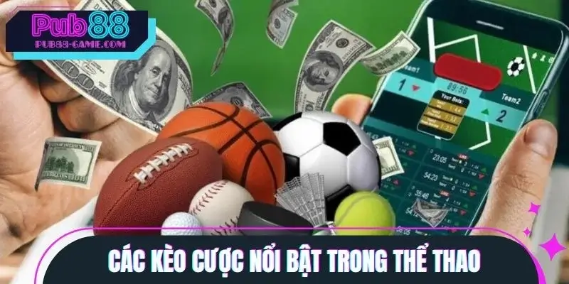 Các loại kèo cược được ưa chuộng nhất trong thể thao