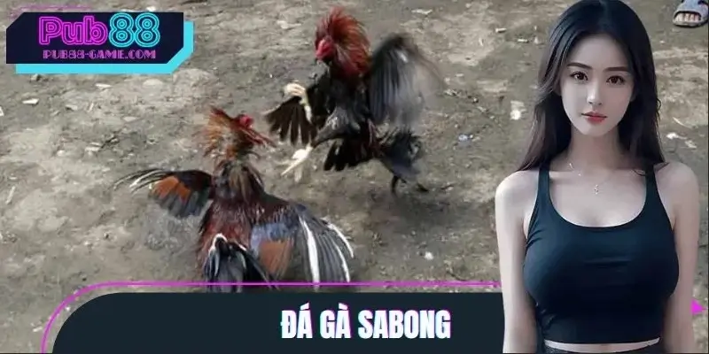 Đá Gà Sabong