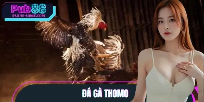 Đá Gà Thomo