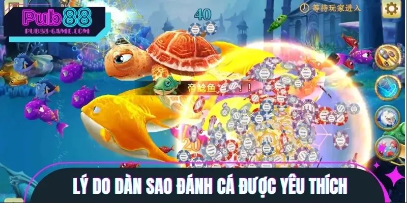 Lý do Dàn Sao Đánh Cá được yêu thích rầm rộ