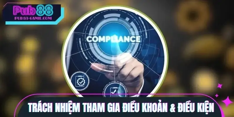 Nghĩa vụ của người chơi khi chấp thuận điều khoản & điều kiện Nghĩa vụ của người chơi khi chấp thuận điều khoản & điều kiện