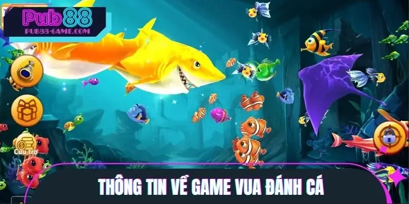 Những thông tin cần biết về game Vua Đánh Cá