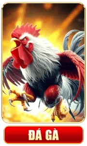 Đá gà